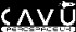 CAVU Aerospace logo